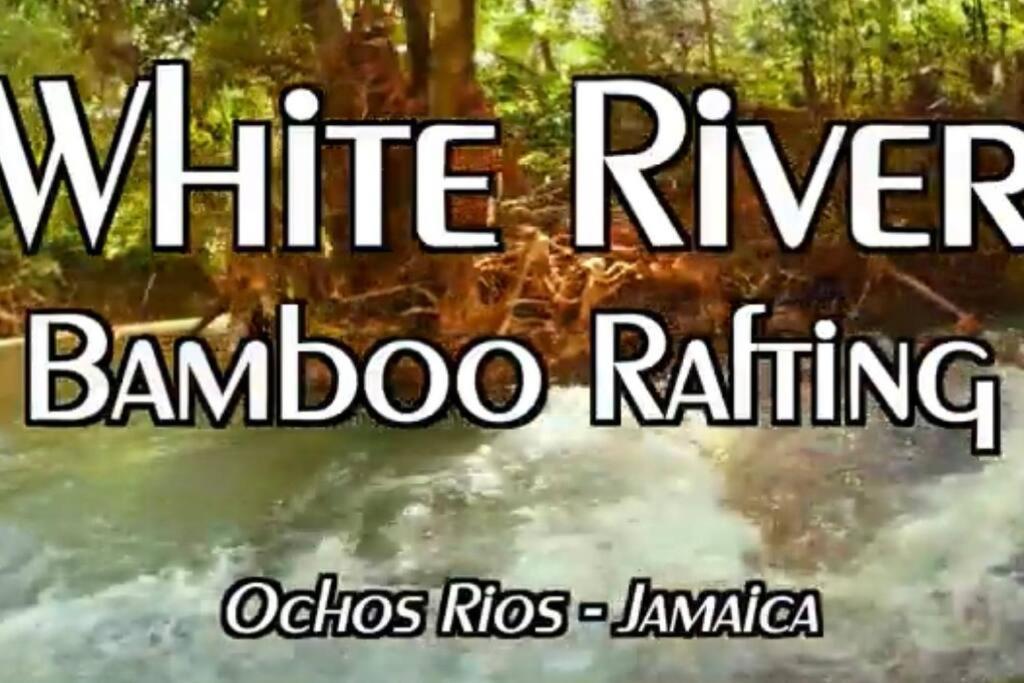 Villa La Rosa With Spectacular View Of Ocho Rios Exterior foto
